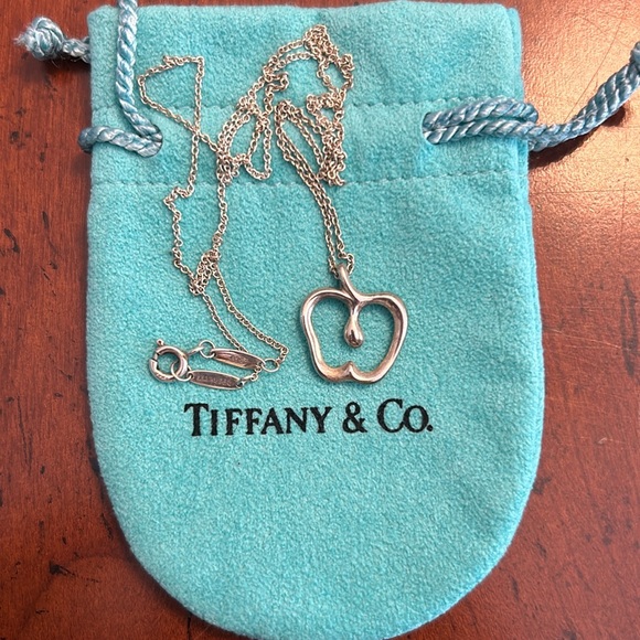 Tiffany & Co. Elsa Peretti Apple Necklace 20” Chain Sterling Silver - Picture 1 of 6